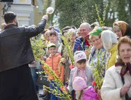 Przykładowy wpis – tytuł testowy numer 3